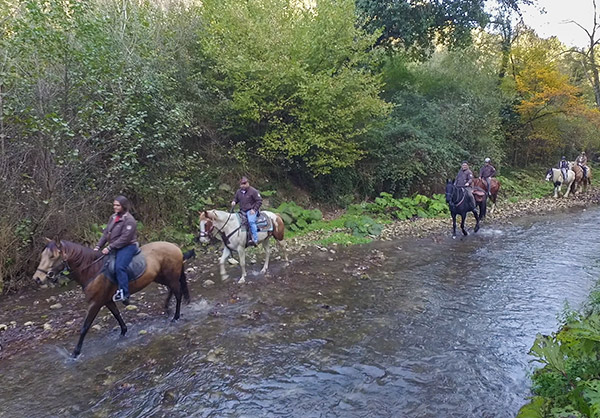 PASSEGGIATA A CAVALLO