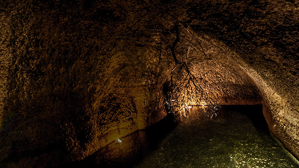 sala del museo dell'olio della sabina